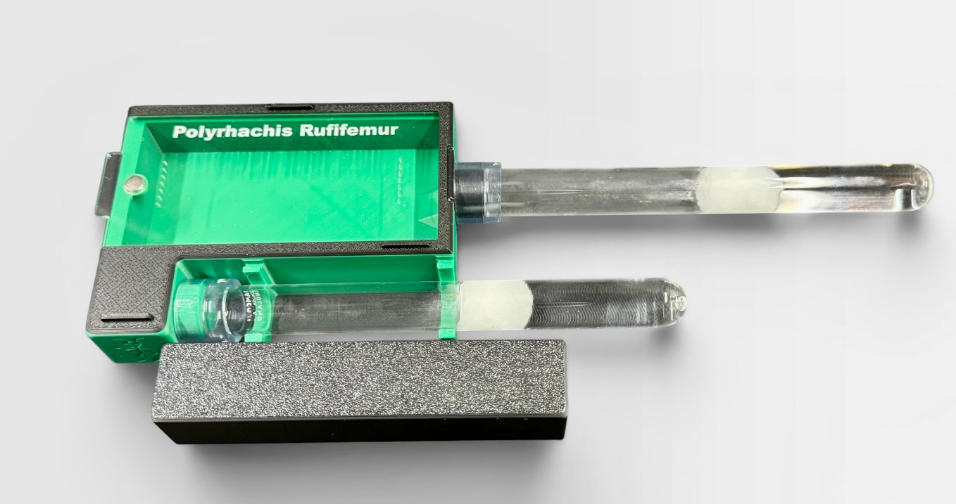 Genesis Chamber - Queen Ant Starter/Founding (Arboreal/Claustral/Semi-Claustral) Integrated Test Tube/Outworldj