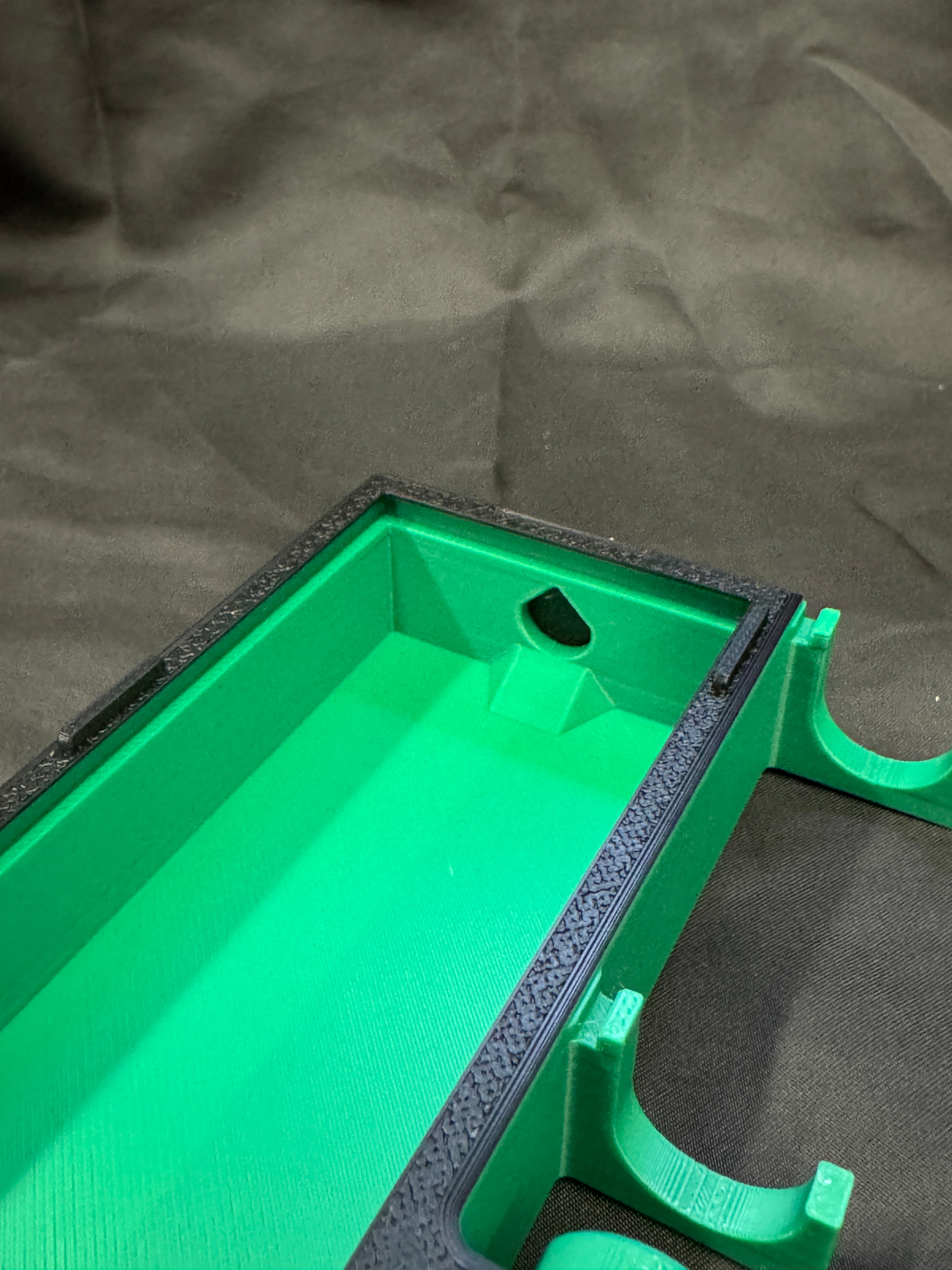 Queen Ant Starter/Founding Arboreal Test Tube/Outworld