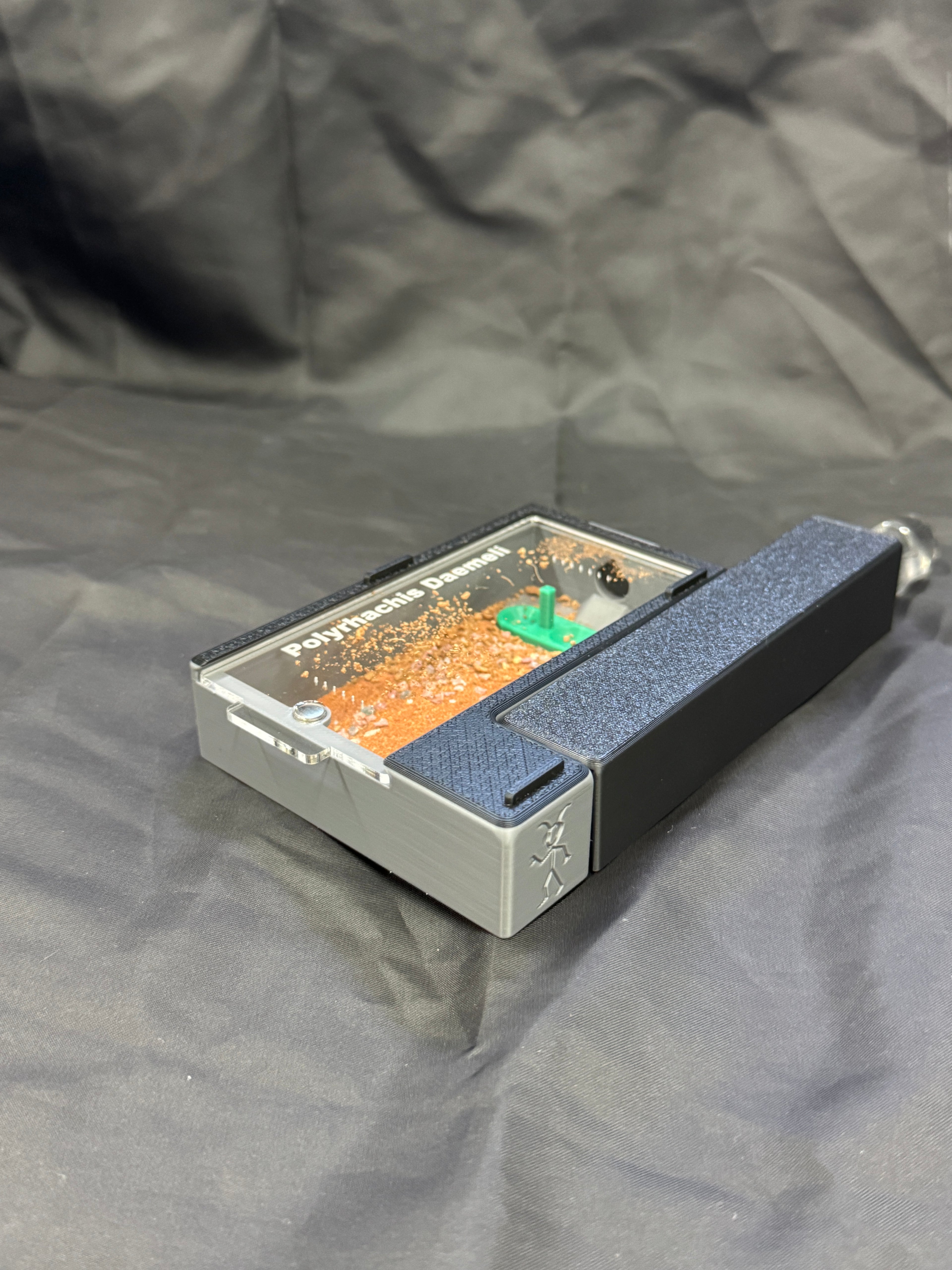 Queen Ant Starter/Founding Arboreal Test Tube/Outworld