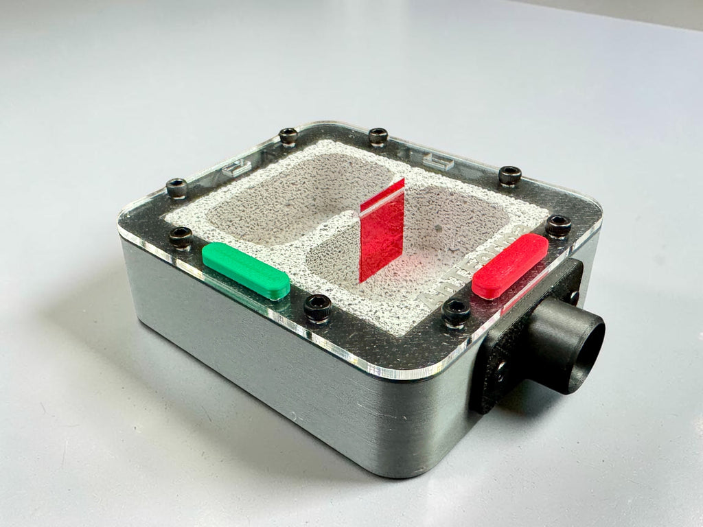 Complete starter setup - Ant Nest/Formicarium (Small) Ytong/Hebel