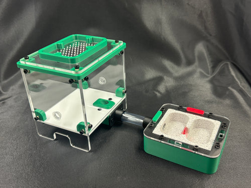 Complete starter setup - Ant Nest/Formicarium (Small) Ytong/Hebel/Gypsum