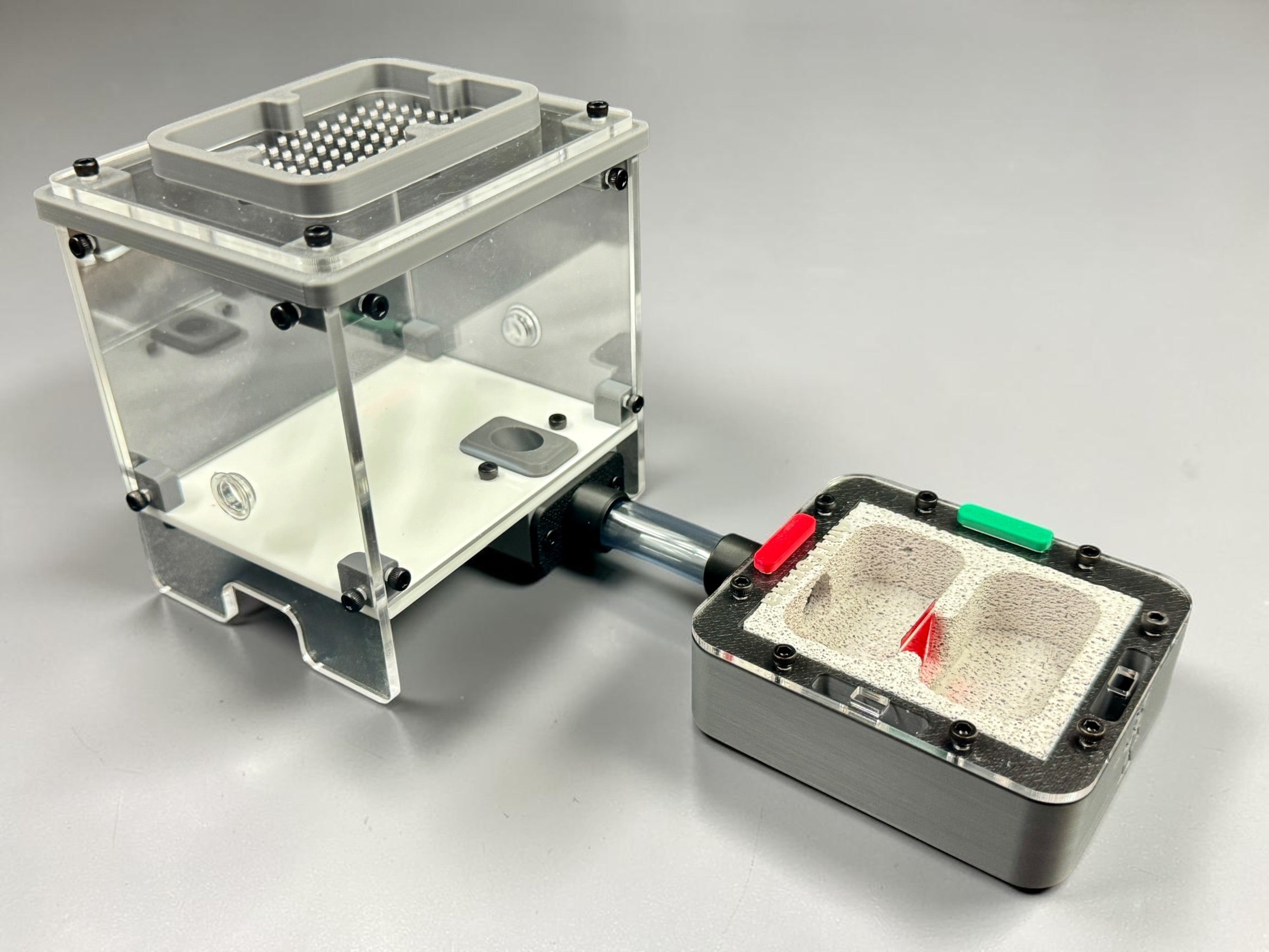 Complete starter setup - Ant Nest/Formicarium (Small) Ytong/Hebel