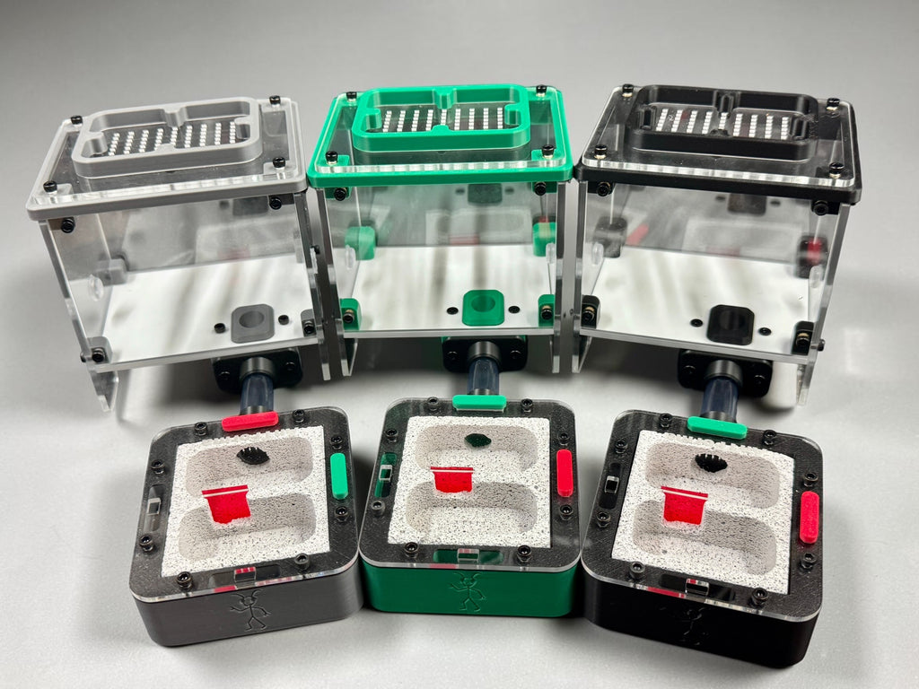 Complete starter setup - Ant Nest/Formicarium (Small) Ytong/Hebel