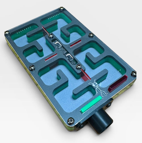 Core Forge M - Acrylic (Medium) Ant Nest/Formicarium